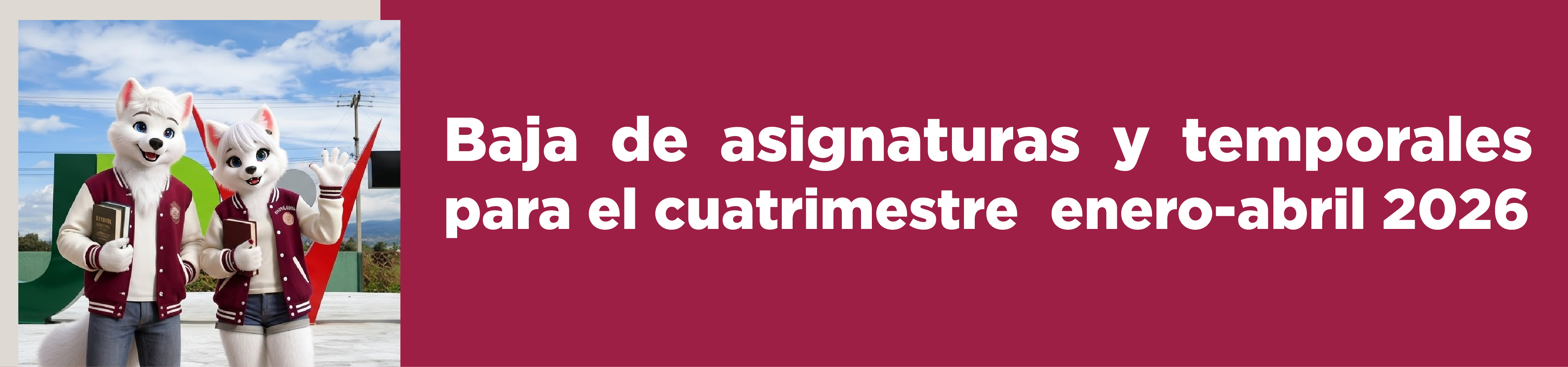 Baja temporal 2026-1