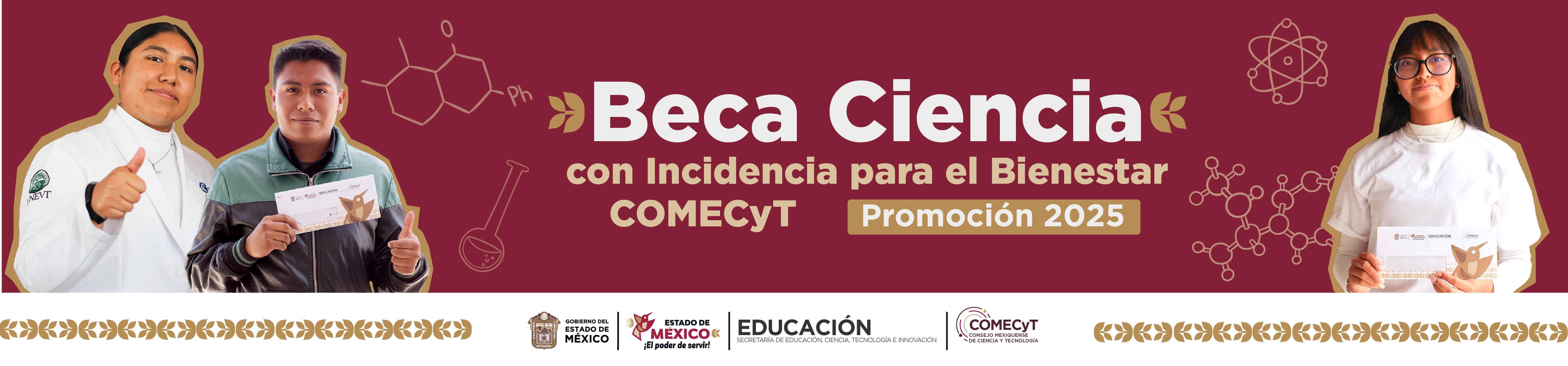 Beca COMECYT