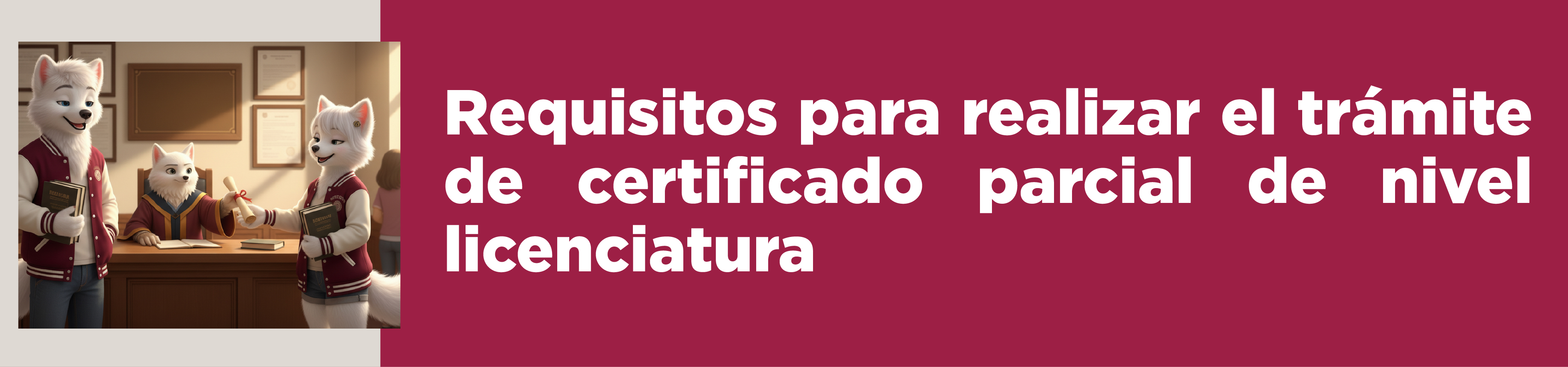 Certificado parcial 2026-1