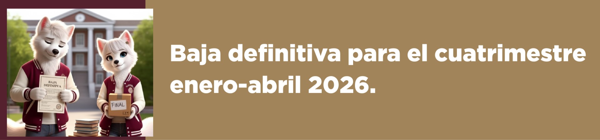 Baja definitiva 2026-1
